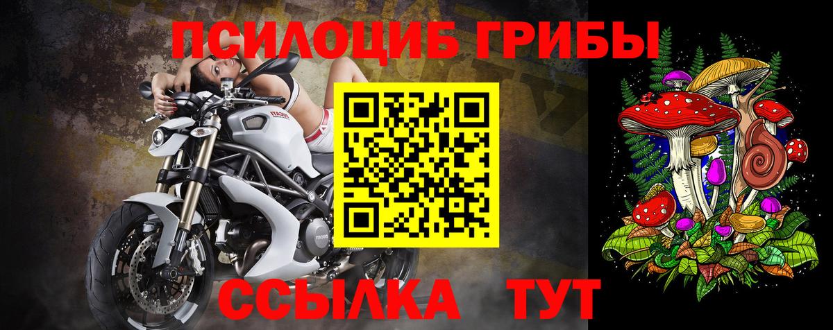 Каменка  Галлюциногенные грибы Cubensis  Вход с VPN 