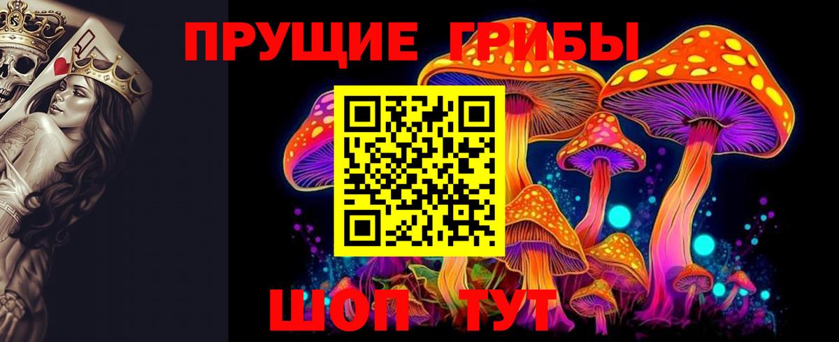 Галлюциногенные грибы Cubensis Каменка